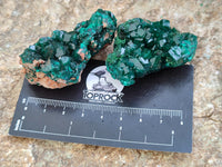 Natural Dioptase Specimens x 6 From Likasi, Congo