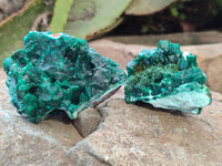 Natural Dioptase Specimens x 6 From Likasi, Congo