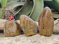 Polished Neolite Standing Free Forms x 3 From Prieska, South Africa