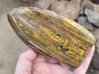 Polished Neolite Standing Free Forms x 3 From Prieska, South Africa