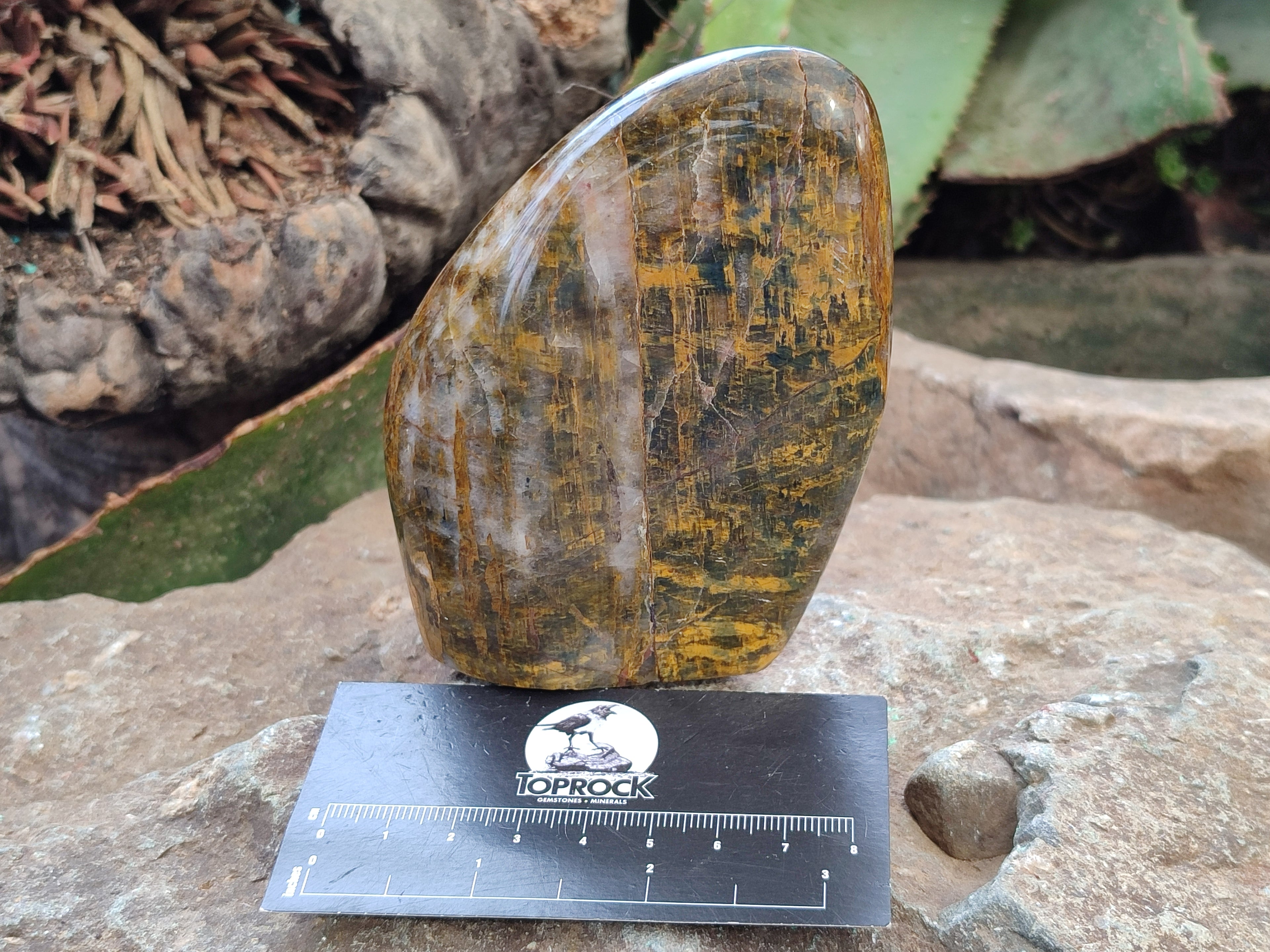 Polished Neolite Standing Free Forms x 3 From Prieska, South Africa - Toprock Gemstones and Minerals 