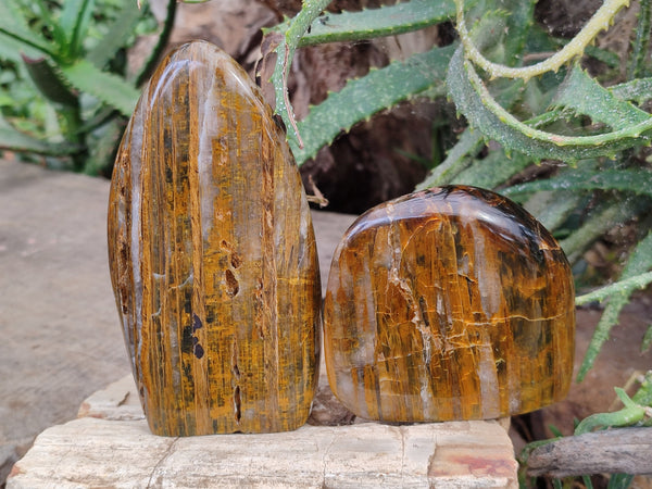 Polished Neolite Standing Free Forms x 3 From Prieska, South Africa