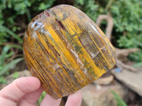 Polished Neolite Standing Free Forms x 3 From Prieska, South Africa