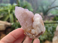 Natural Ametrine Spirit Quartz Clusters x 12 From Boekenhouthoek, South Africa - Toprock Gemstones and Minerals 