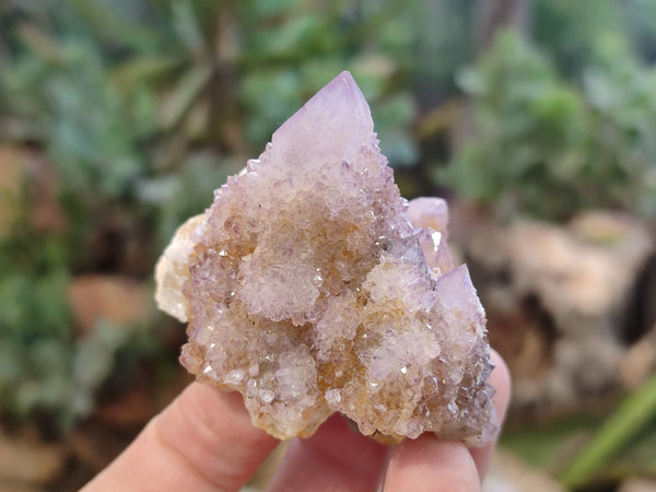 Natural Ametrine Spirit Quartz Clusters x 12 From Boekenhouthoek, South Africa - Toprock Gemstones and Minerals 