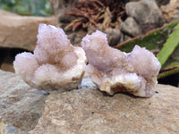 Natural Ametrine Spirit Quartz Clusters x 12 From Boekenhouthoek, South Africa - Toprock Gemstones and Minerals 