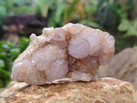 Natural Ametrine Spirit Quartz Clusters x 12 From Boekenhouthoek, South Africa - Toprock Gemstones and Minerals 
