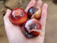 Polished Carnelian Spheres x 6 From Madagascar