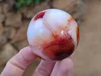 Polished Carnelian Spheres x 6 From Madagascar