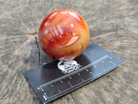 Polished Carnelian Spheres x 6 From Madagascar