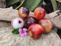 Polished Carnelian Spheres x 6 From Madagascar