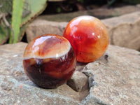 Polished Carnelian Spheres x 6 From Madagascar