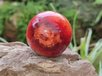 Polished Carnelian Spheres x 6 From Madagascar