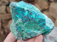 Natural Shattuckite with Chrysocolla and Malachite Cutting Material x 3 From Namibia