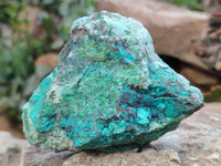 Natural Shattuckite with Chrysocolla and Malachite Cutting Material x 3 From Namibia