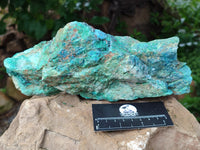 Natural Shattuckite with Chrysocolla and Malachite Cutting Material x 3 From Namibia