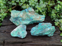 Natural Shattuckite with Chrysocolla and Malachite Cutting Material x 3 From Namibia