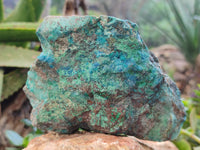 Natural Shattuckite with Chrysocolla and Malachite Cutting Material x 3 From Namibia
