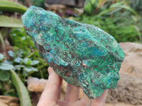 Natural Shattuckite with Chrysocolla and Malachite Cutting Material x 3 From Namibia