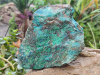 Natural Shattuckite with Chrysocolla and Malachite Cutting Material x 3 From Namibia