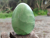 Polished Green Fluorite Standing Free Forms x 3 From Madagascar