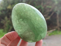 Polished Green Fluorite Standing Free Forms x 3 From Madagascar