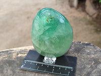 Polished Green Fluorite Standing Free Forms x 3 From Madagascar