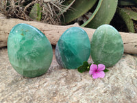 Polished Green Fluorite Standing Free Forms x 3 From Madagascar