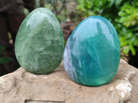 Polished Green Fluorite Standing Free Forms x 3 From Madagascar