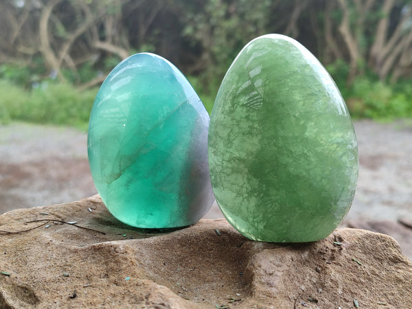 Polished Green Fluorite Standing Free Forms x 3 From Madagascar