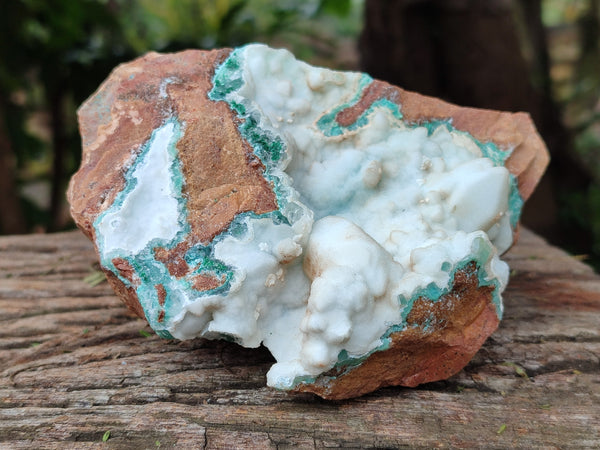 Natural White Hemimorphite with Chrysocolla and Malachite x 2 From Congo
