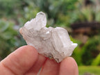 Natural Brandberg Quartz Crystals x 35 From Brandberg Mountain, Namibia - Toprock Gemstones and Minerals 