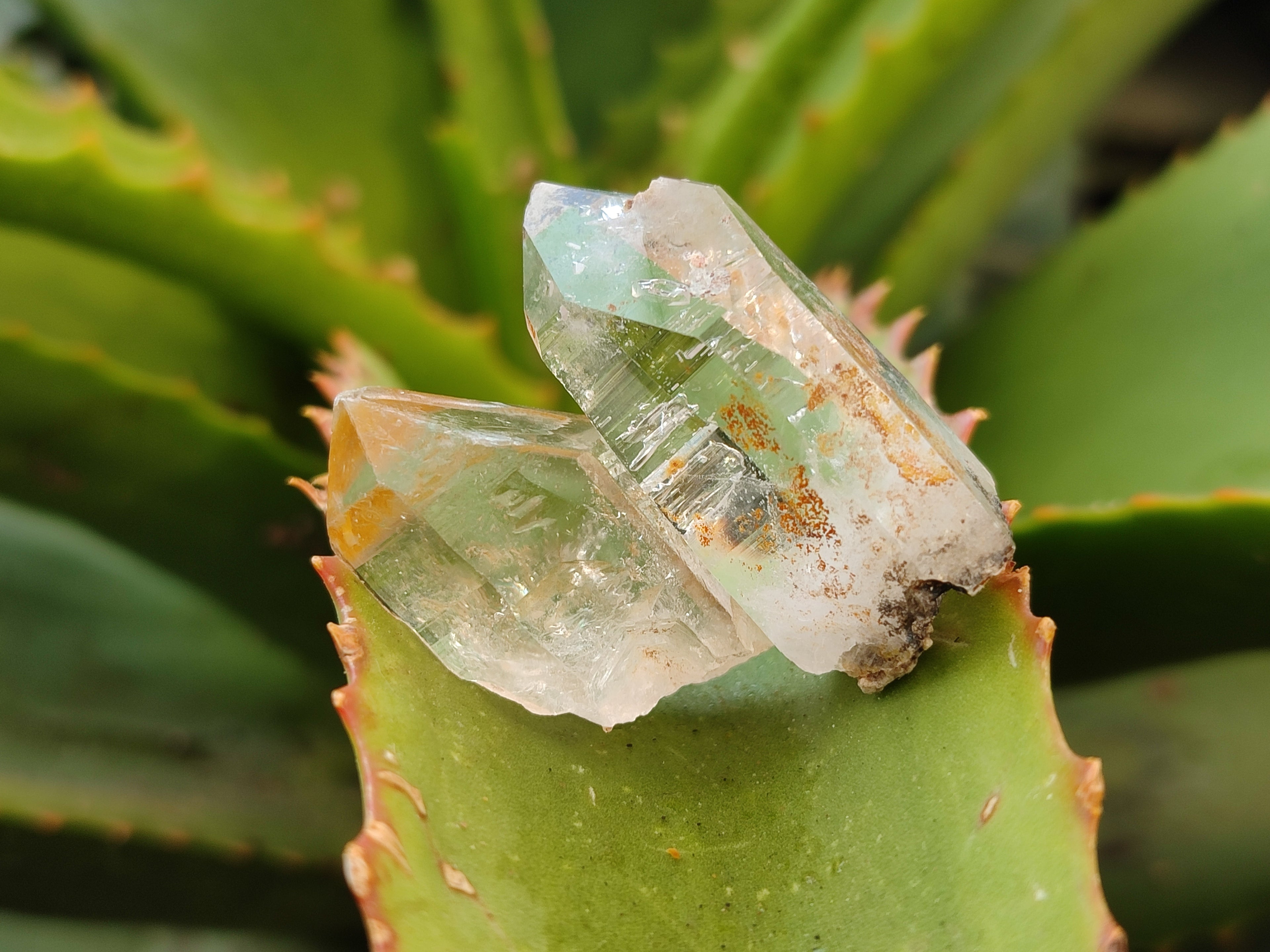Natural Brandberg Quartz Crystals x 35 From Brandberg Mountain, Namibia - Toprock Gemstones and Minerals 