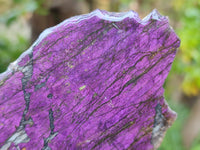 Polished Purpurite Coated with Resin On One Side x 6 From Erongo, Namibia