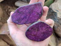 Polished Purpurite Coated with Resin On One Side x 6 From Erongo, Namibia