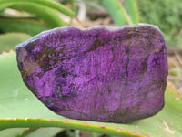 Polished Purpurite Coated with Resin On One Side x 6 From Erongo, Namibia