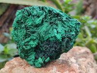 Natural Silky Malachite Specimens x 3 From Kasompe, Congo