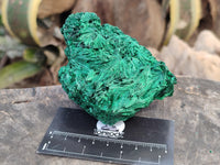 Natural Silky Malachite Specimens x 3 From Kasompe, Congo