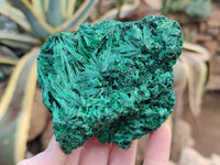 Natural Silky Malachite Specimens x 3 From Kasompe, Congo