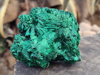 Natural Silky Malachite Specimens x 3 From Kasompe, Congo