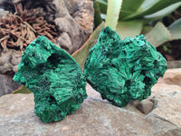 Natural Silky Malachite Specimens x 3 From Kasompe, Congo
