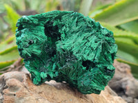 Natural Silky Malachite Specimens x 3 From Kasompe, Congo