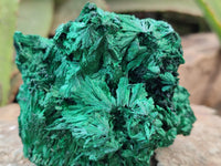 Natural Silky Malachite Specimens x 3 From Kasompe, Congo