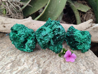 Natural Silky Malachite Specimens x 3 From Kasompe, Congo