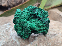 Natural Silky Malachite Specimens x 3 From Kasompe, Congo