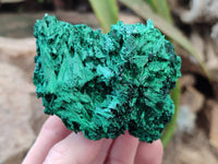 Natural Silky Malachite Specimens x 3 From Kasompe, Congo