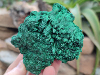 Natural Silky Malachite Specimens x 3 From Kasompe, Congo