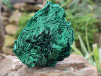 Natural Silky Malachite Specimens x 3 From Kasompe, Congo