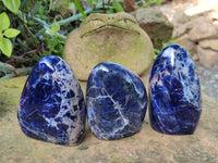 Polished Sodalite Standing Free Forms x 3 From Kunene River, Namibia