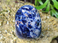 Polished Sodalite Standing Free Forms x 3 From Kunene River, Namibia